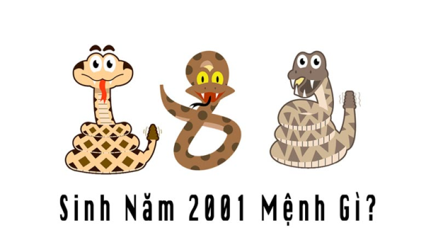 3. Những người tuổi Tân Tỵ sinh năm 2001 hợp với tuổi gì?