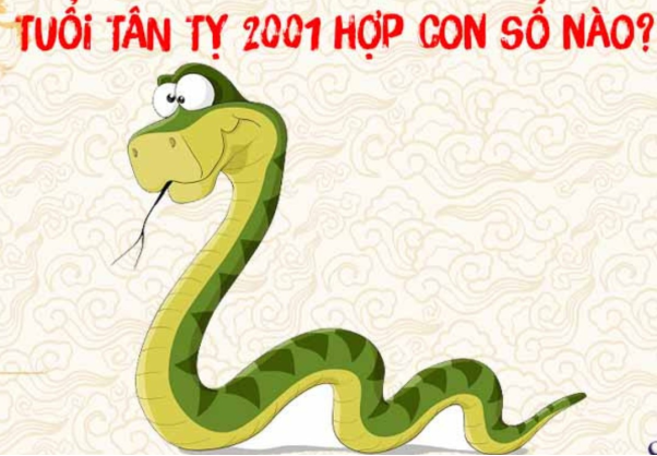 6. Những người Tân Tỵ sinh năm 2001 hợp với con số nào?