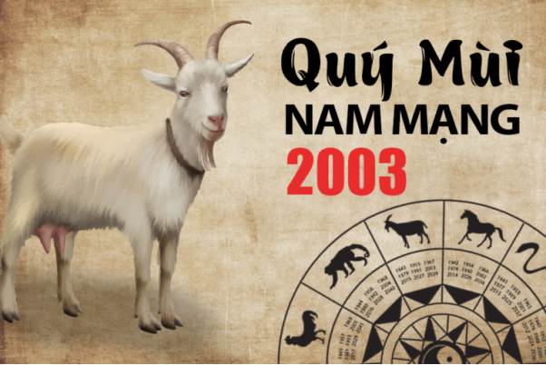 2. Tử vi 2003 nam Quý Mùi năm 2022 như thế nào?