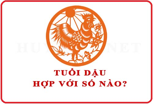 Tuổi năm 1981 Tân Dậu hợp với những số nào?