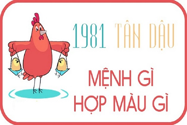 Tuổi Dậu 1981 hợp và kỵ màu sắc gì ?